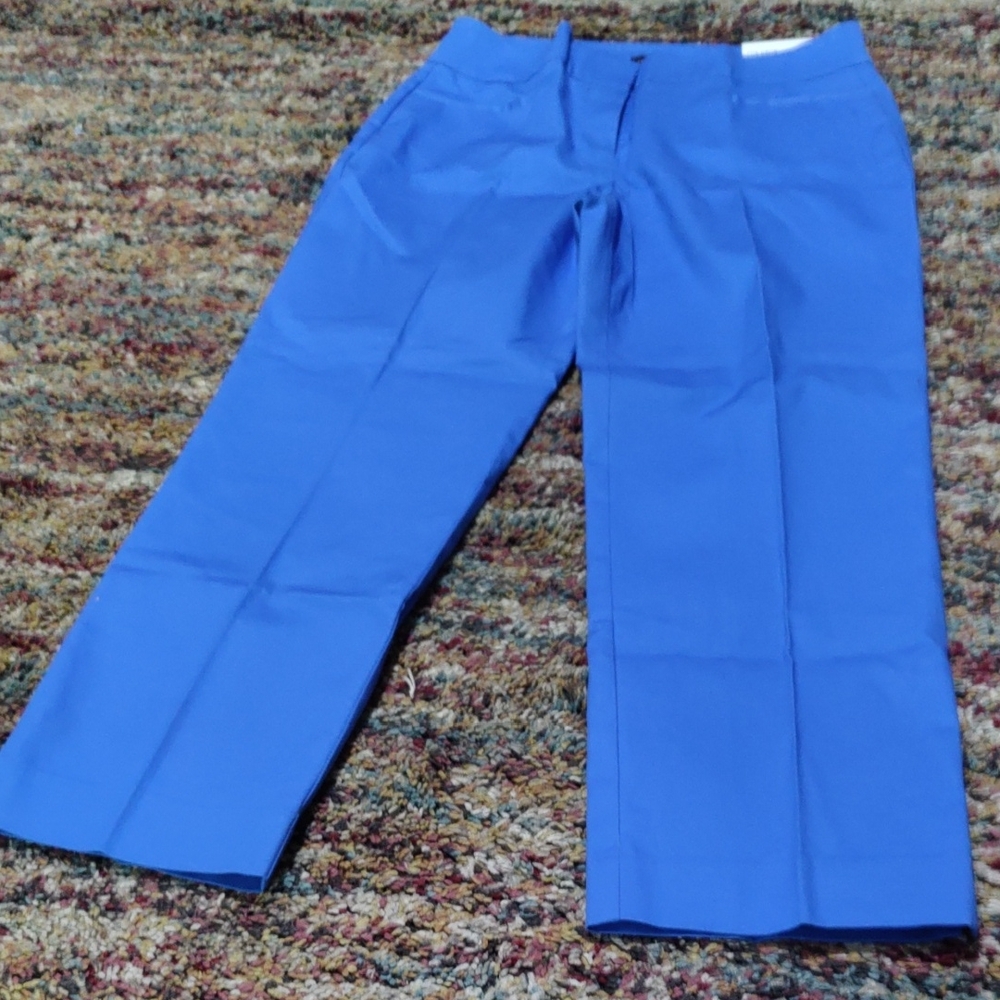 NWT Vibrant Blue Wide-Leg Pants the length Is 34 And A Half The Waist Is 30